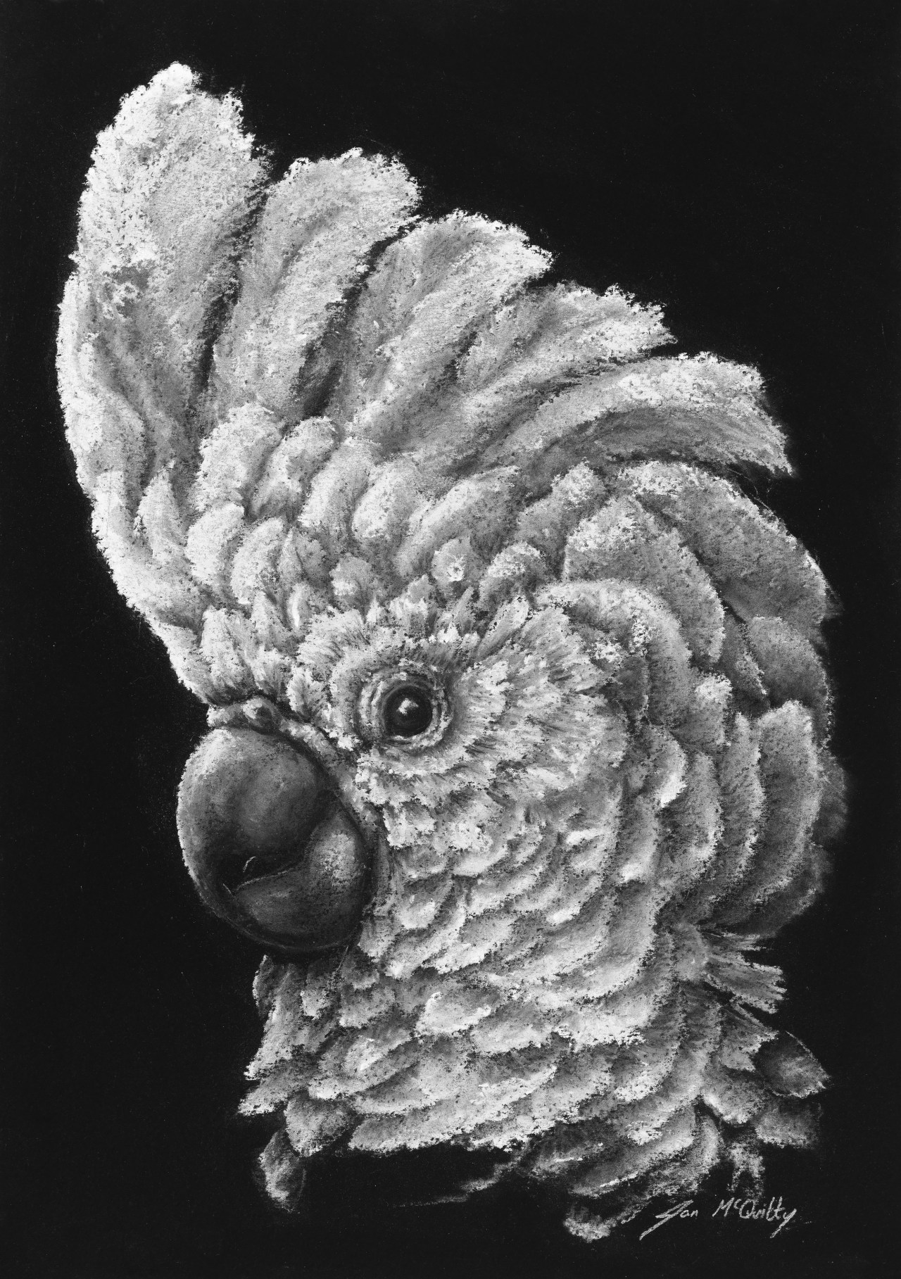 Strathbogie Pastel Artist – Jan&nbsp;McQuitty