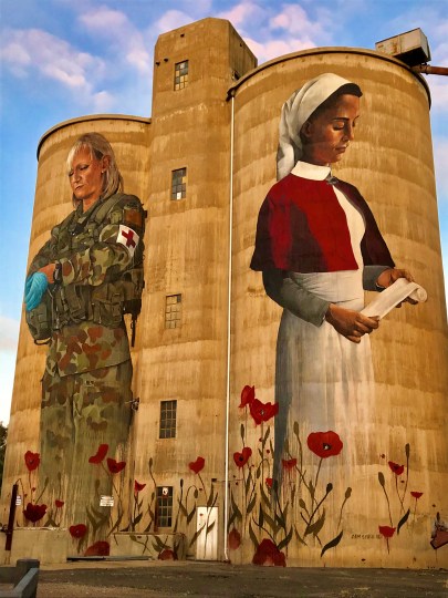 Devenish Silo Art