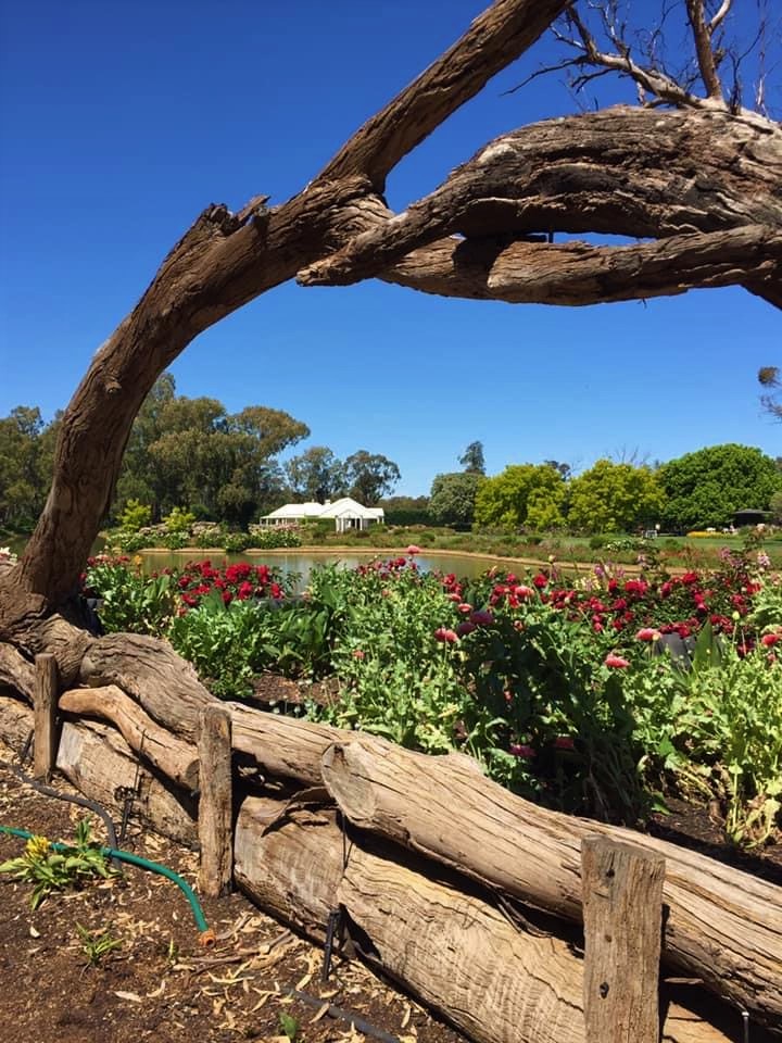 Open Garden – Yackatoon Gardens